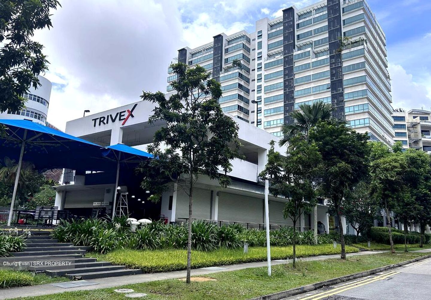 Trivex (D13), Factory #509828961